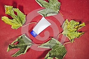 Cosmetics product advertising stand. tube Cream with autumn maple leaves. Empty pedestal to display product packaging