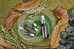 Cosmetics by pure natural plant, Organic beauty spa product on green leaf, Skincare blank bottle packaging with leaves herb.
