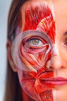 Cosmetology concept. Young woman with half of face with muscles structure under skin. Model for medical training on a