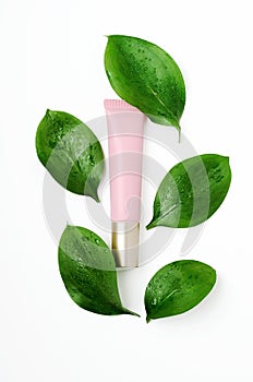 Cosmetology tube with green leaves on white background. Top class facial care serum with decorative fresh ficus foliage