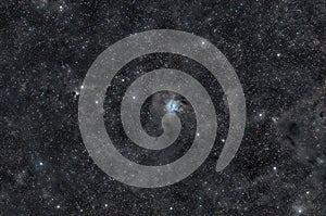 Cosmic clouds of Cepheus