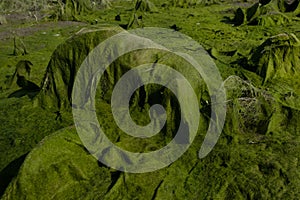 cosmic landscape of mud