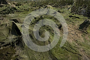 cosmic landscape of mud