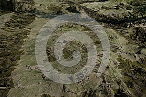 cosmic landscape of mud