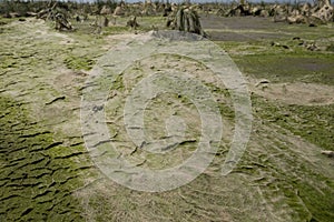 cosmic landscape of mud