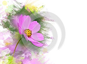 Cosmos flower.Watercolor effect