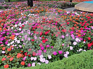 Cosmovitral is a botanical garden is in Toluca - Mexico