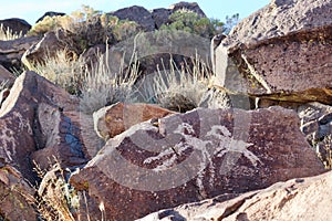 Coso Range Petroglyphs