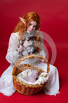 Cosplay elf young woman with wavy red long hair sitting on red background with two Sphinx kittens