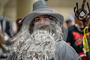 Cosplayer at Toronto Comicon event.
