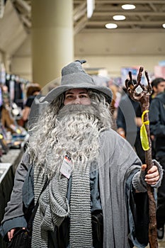 Cosplayer at Toronto Comicon event.