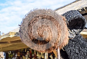 Cossack hat made of sheep's wool on the market. Mouton sheep's wool.