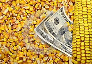 Cost of Corn