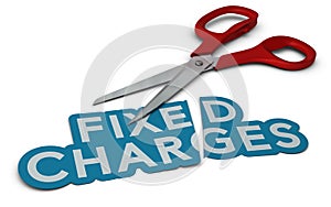 Cost Cutting, Fixed Charges photo