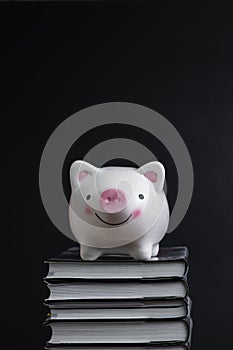 Cost of knowledge and education, savings for college or scholarship concept, pink smiling piggy bank on top of stack of books with