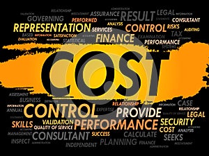 COST word cloud