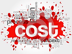 COST word cloud
