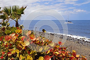 Costa Adeje at Tenerife