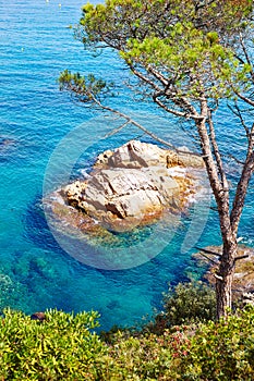 Costa Brava beach Lloret de Mar Catalonia Spain photo