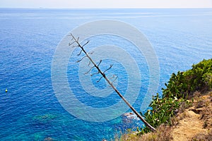 Costa Brava beach Lloret de Mar Catalonia Spain