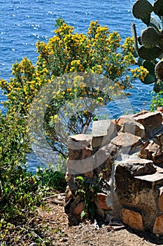 Costa Brava - mediterranien coastline in Spain photo