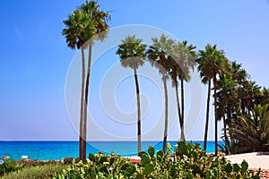 Costa Calma beach of Jandia Fuerteventura