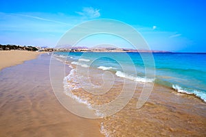 Costa Calma beach of Jandia Fuerteventura photo