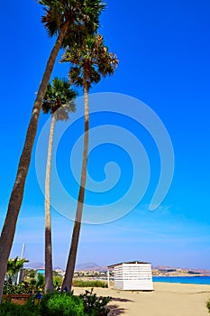 Costa Calma beach of Jandia Fuerteventura photo