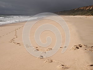 Costa da Caparica, a natural reserve and PortugalÃ¢â¬â¢s largest contiguous beach photo