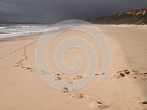 Costa da Caparica, a natural reserve and Portugalâ€™s largest contiguous beach