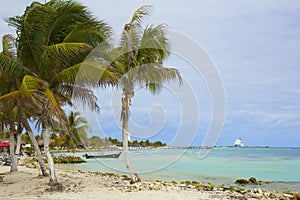 Costa Maya coast, Mexico, Caribbean