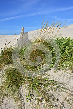 Costa Nova beach in Aveiro, Portugal