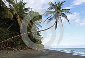 Costa rica beach