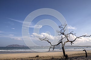 Costa Rica beach photo