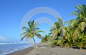 Costa Rica beach