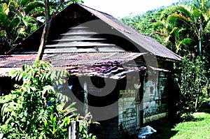 Costa Rica Jungle House