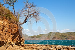 Costa Rica Landscape