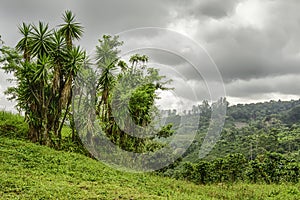 Costa Rica Landscape