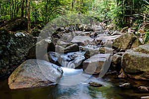 Costa Rica Nature Background Travel Destinations Rio CelesteCosta Rica Nature Background Travel Destinations Rio Celeste