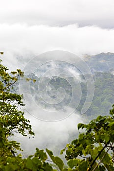 Costa Rica - Osa Peninsula photo