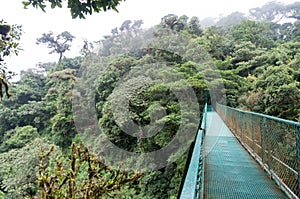 Costa Rica suspension bridges - Monteverde
