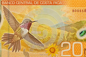 Costa Rica, Twenty thousand colon banknote, close-up, back of money with a hummingbird