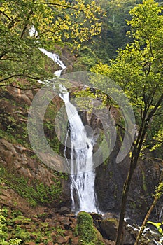 Costa Rican Rainforest Waterfall photo