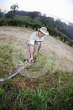 Costa Rican ranch hand