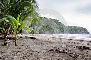 Costa Rican south pacific beach