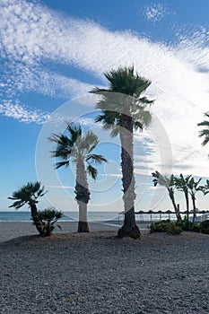 Costa Tropical beach in AlmuÃ±ecar in the province of Granada, Andalusia, Spain. Europe.