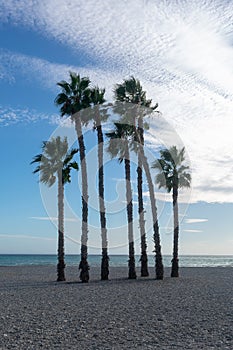 Costa Tropical beach in AlmuÃ±ecar in the province of Granada, Andalusia, Spain. Europe.