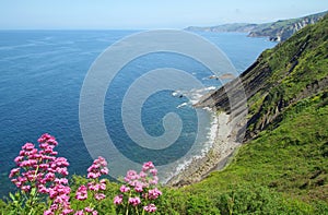 Costa Vasca near Deba