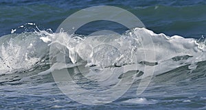 Costal sea/ocean crashing wave photo