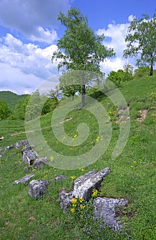 Costesti Dacian Ruins